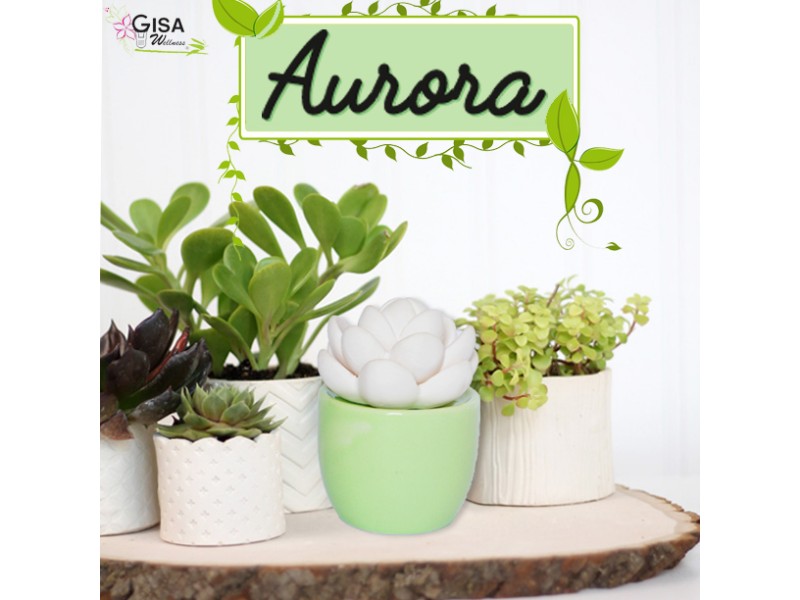 Aurora - dekorativni difuzor iz keramike, tri barvne možnosti keramične vazice.