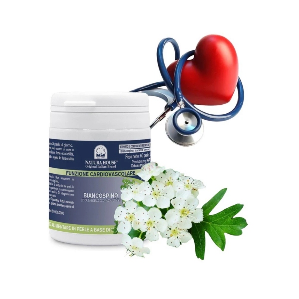 GLOG (CRATEGUS OXYACANTHA)      60 kroglic 