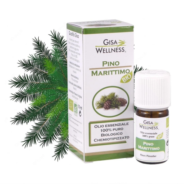 Obmorski bor (Pinus pinaster) BIO - 10ml 