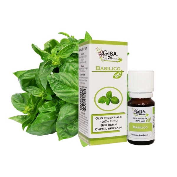 BAZILIKA (Ocimum basilicum L) BIO -  10ml   