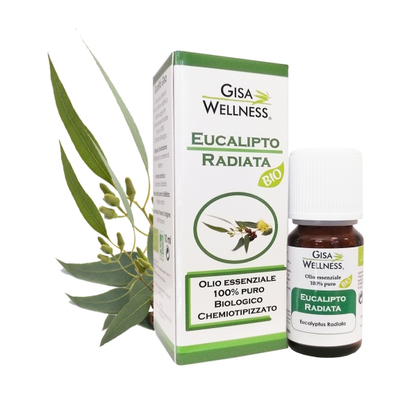 Eucalyptus Radiata - ZVEZDASTI EVKALIPT - BIO 10ml (najbolje uporabiti do 29.02.2024)