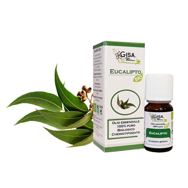 Evkalipt (Eucalyptus globulus) - BIO 10ml 