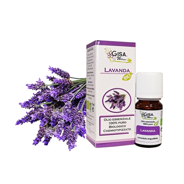 Levanda -Sivka (Lavandula angustifolia) BIO - 10 ml