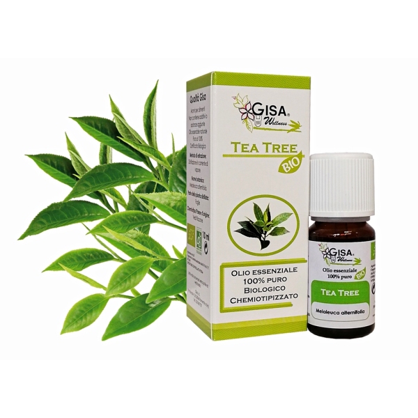 Olje čajeveca- Čajna Mirta (Melaleuca alternifolia) BIO - 10 ml